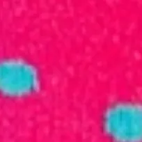 Magenta Cacti